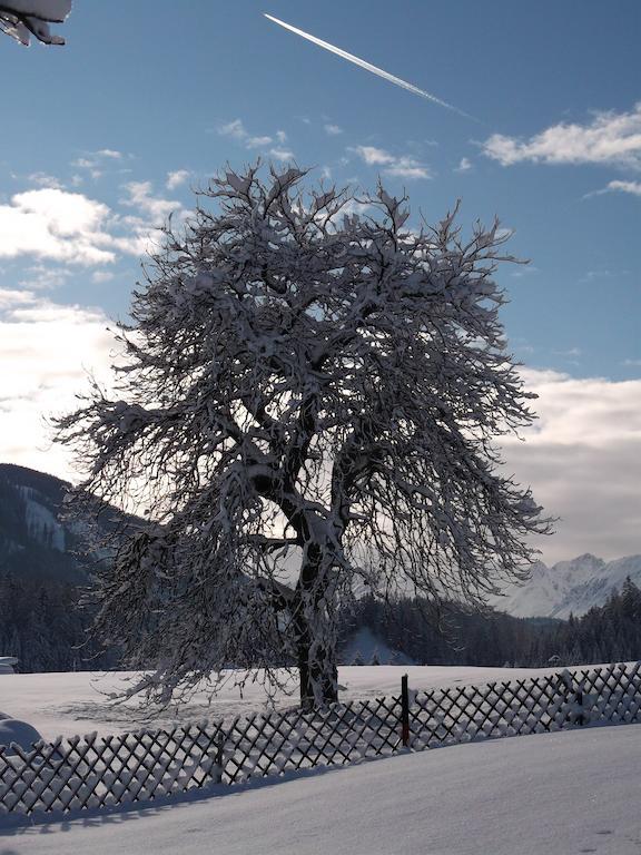 Anno Tyrol Villa บีเบอร์เวียร์ ภายนอก รูปภาพ